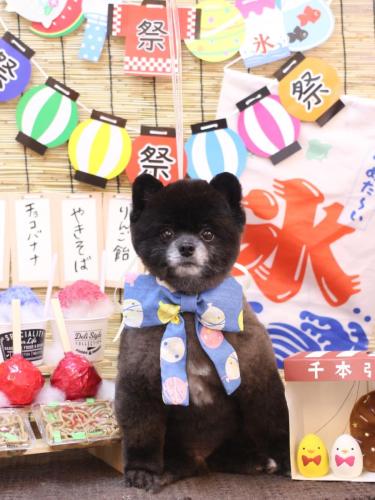 20240703れおくん